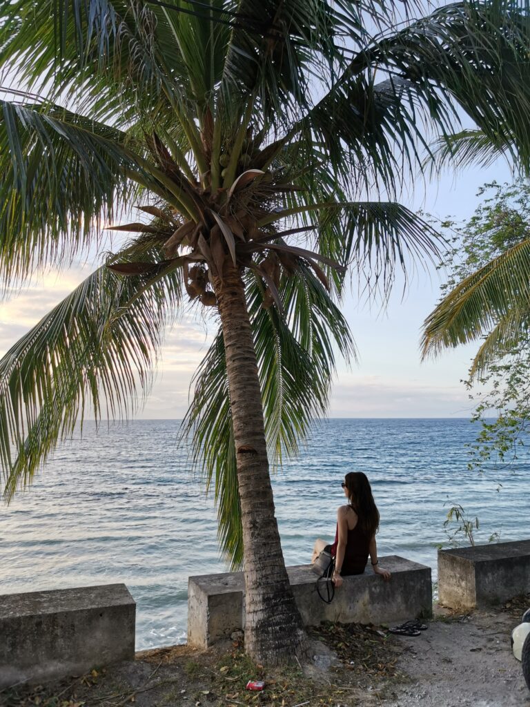 El Nido 2020