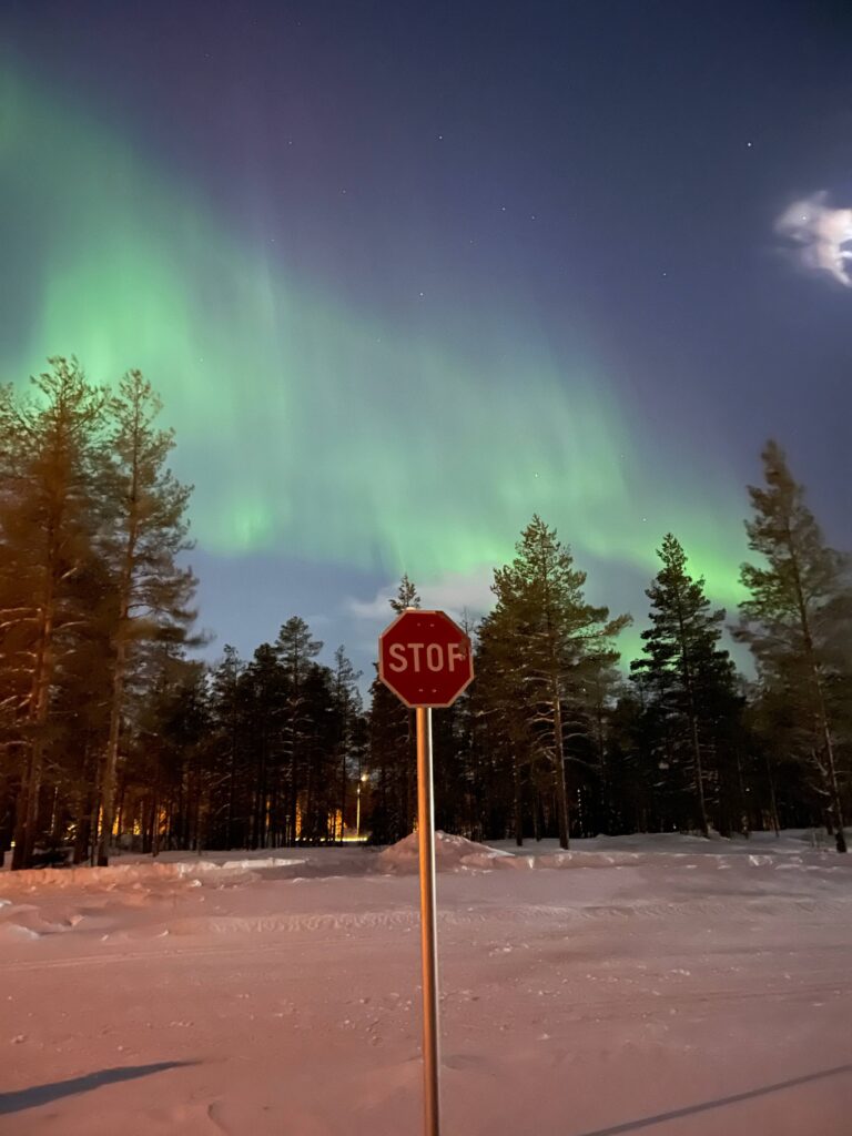 February in Rovaniemi 1