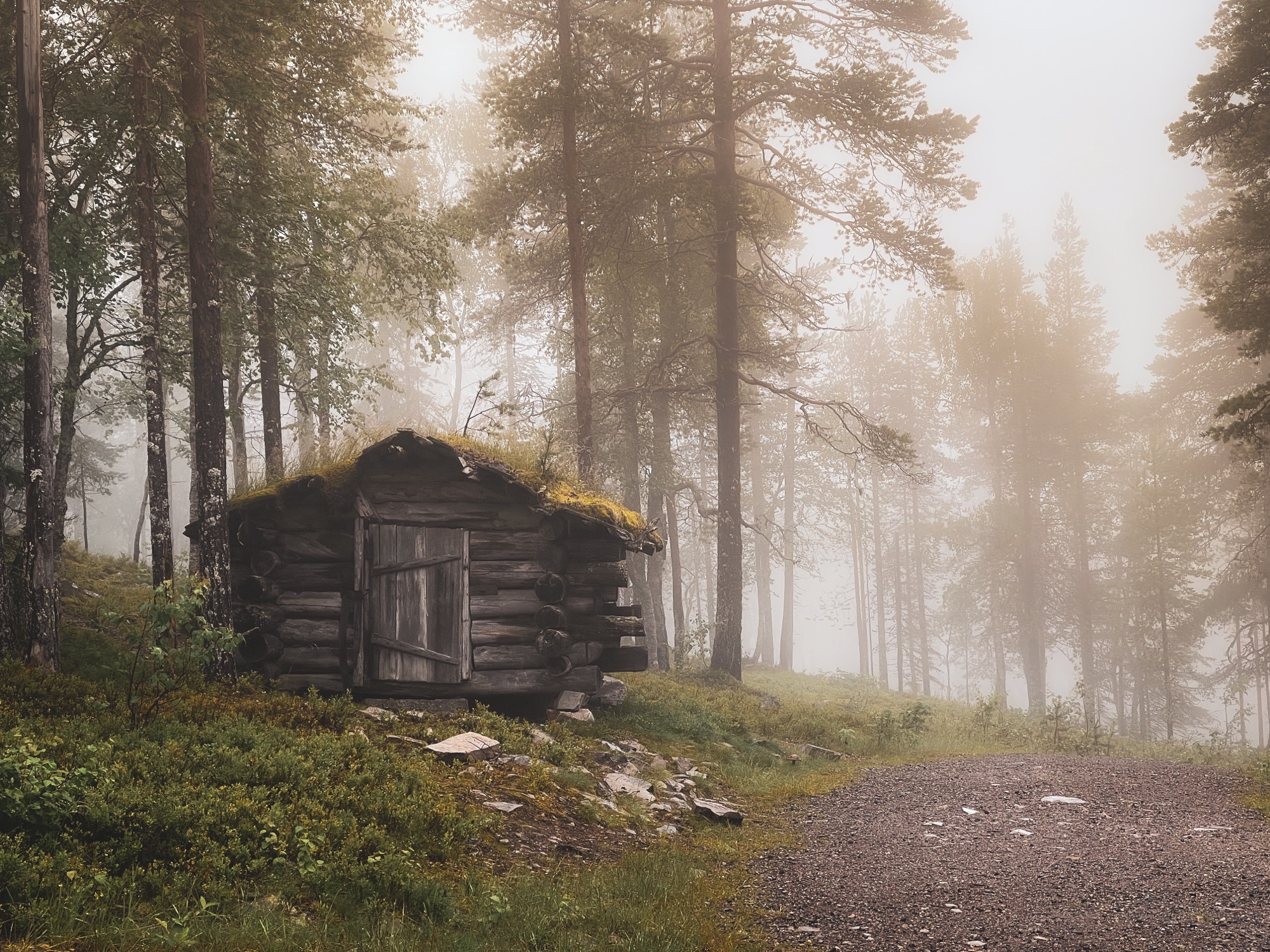 Pyhä-Luosto National Park