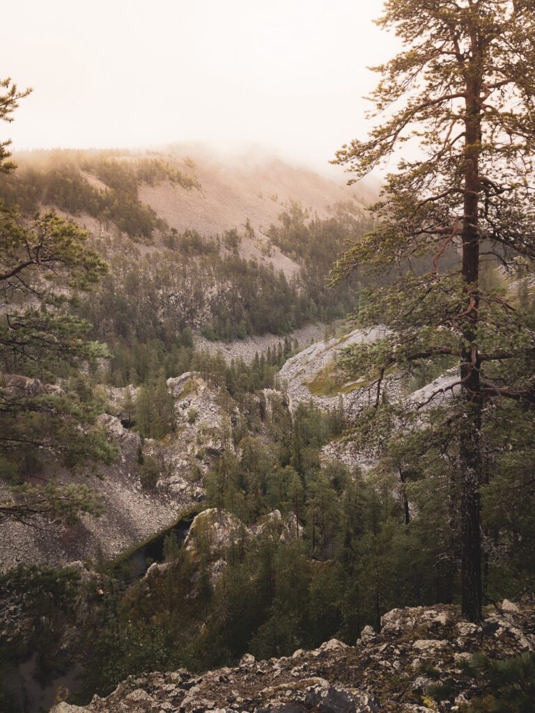 Pyhä-Luosto National Park