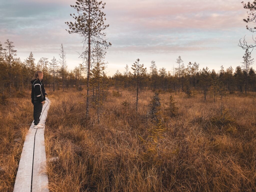 arctic circle hiking area