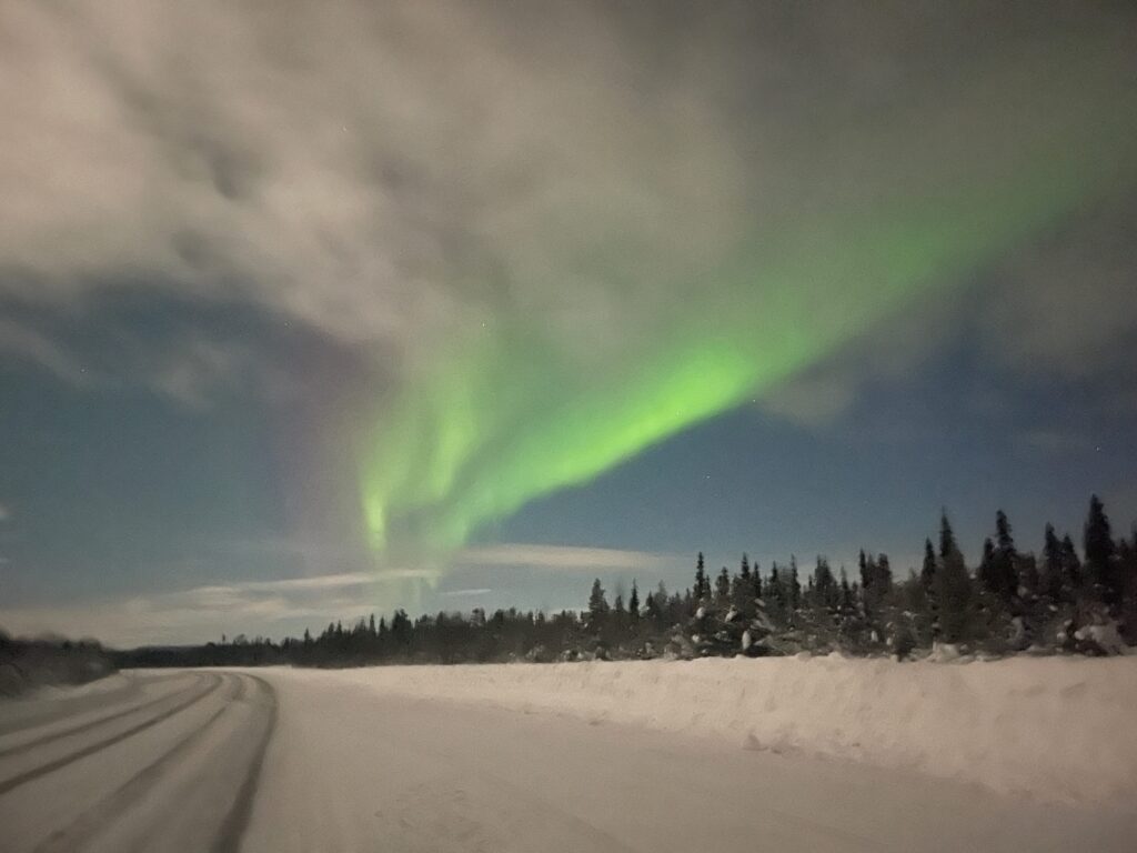 Northern Lights glowing over frosted forests in Lapland under a night sky. Classic Lapland winter scenery with frozen nature and soft northern light