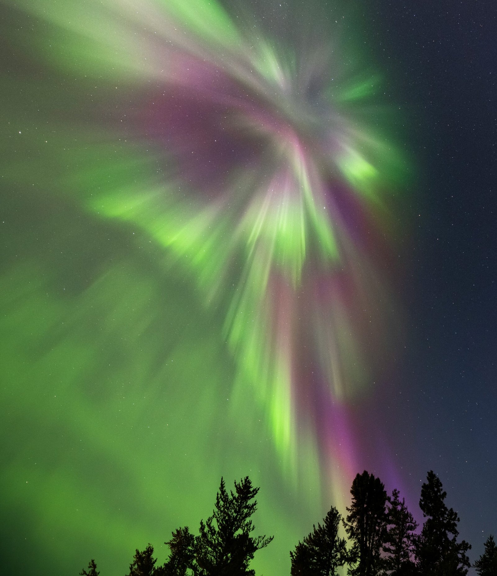 Lapland Winter Landscapes & Northern Lights Adventures