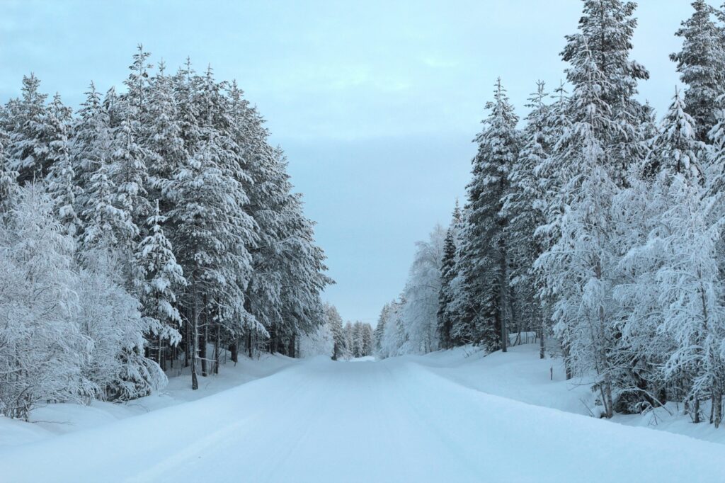 Arctic winter scenery in Lapland covered in fresh snow and frost