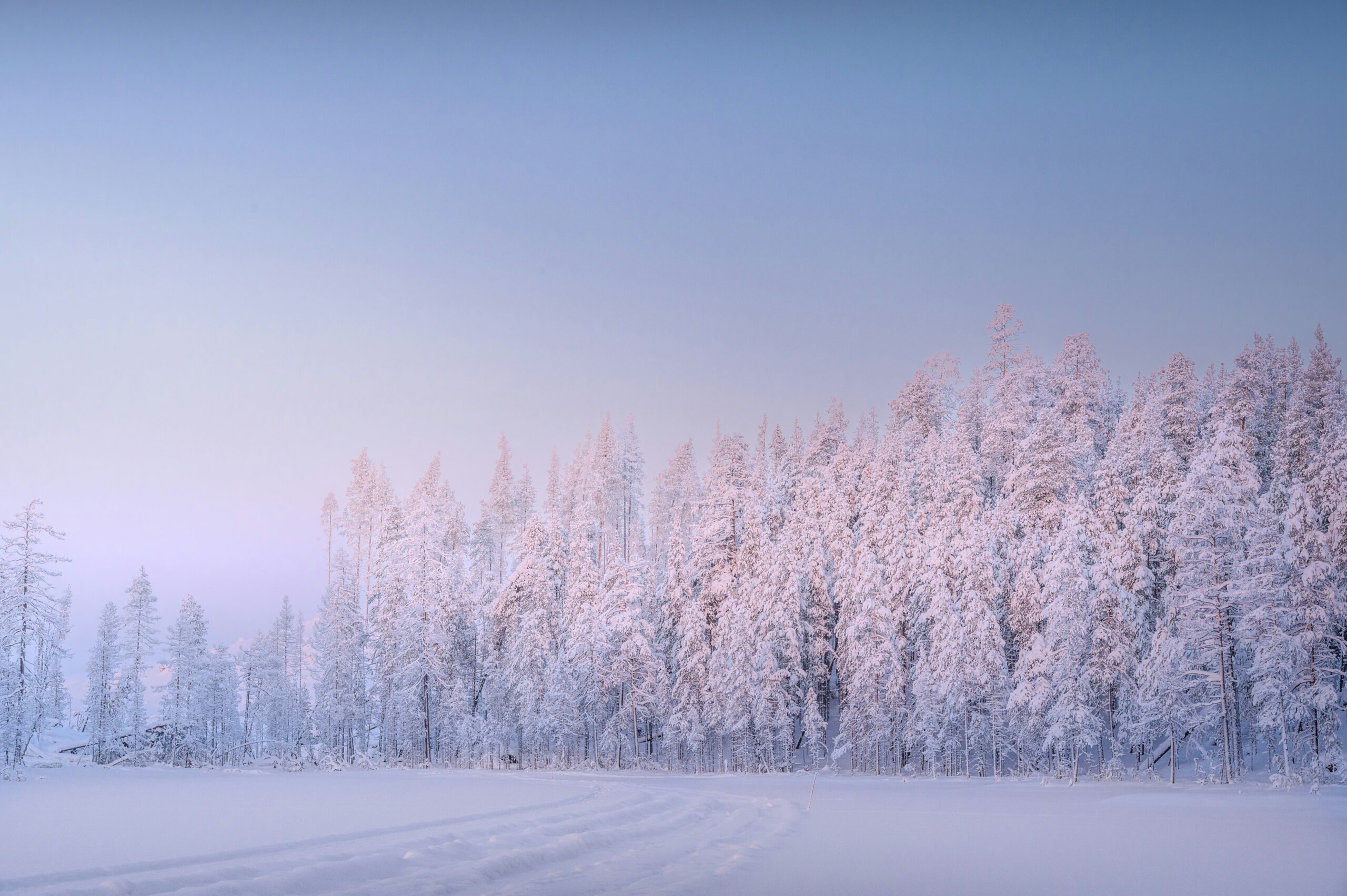 winter wonderland, lapland uk