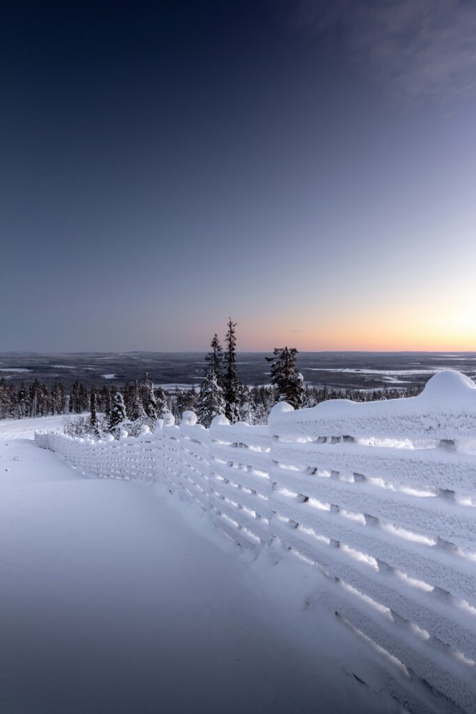 Polar night atmosphere in Lapland with blue winter light. Peaceful winter forest in Lapland during polar daylight