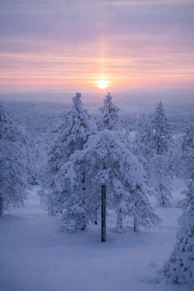 Snow-covered forest landscape in Finnish Lapland during winter. Arctic winter scenery in Lapland covered in fresh snow and frost