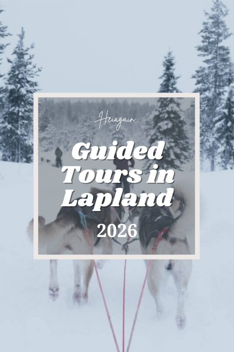 Guided tours in Lapland, husky rides, reindeer rides, snowmobiles