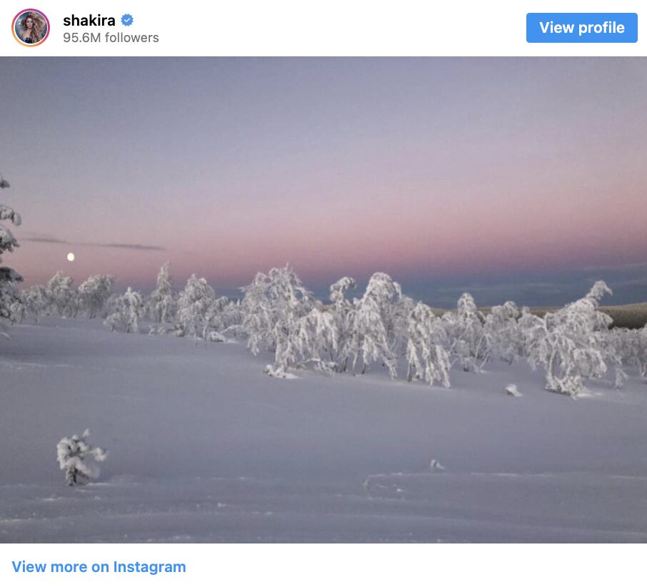 Shakira in Lapland, Celebrities in lapland. Snowy winter landscape in Finnish Lapland with frozen trees and soft pastel sky