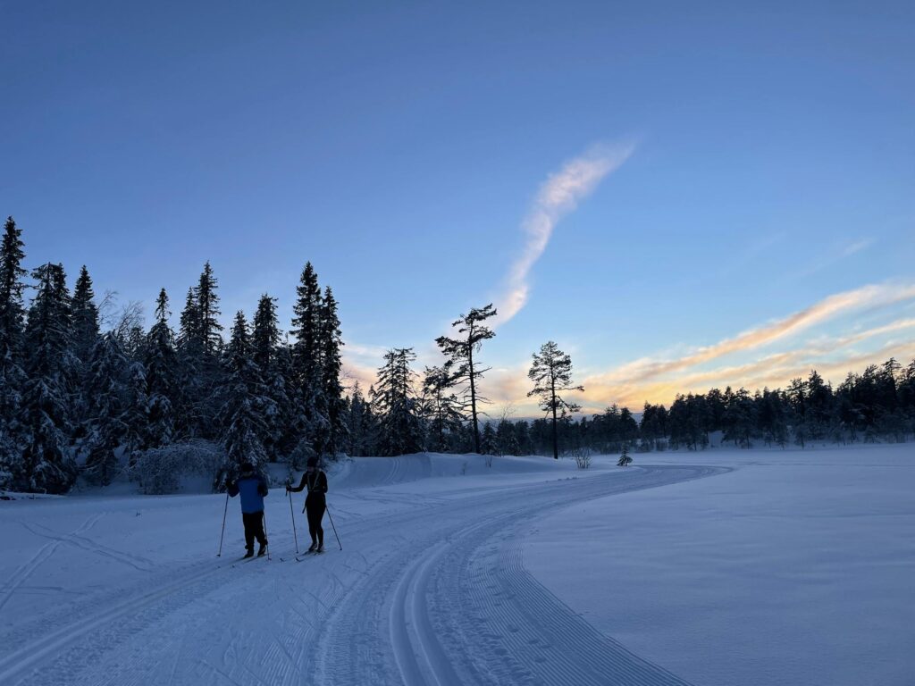 Two skiers glide across snowy trail with winter forest backdrop at dusk.