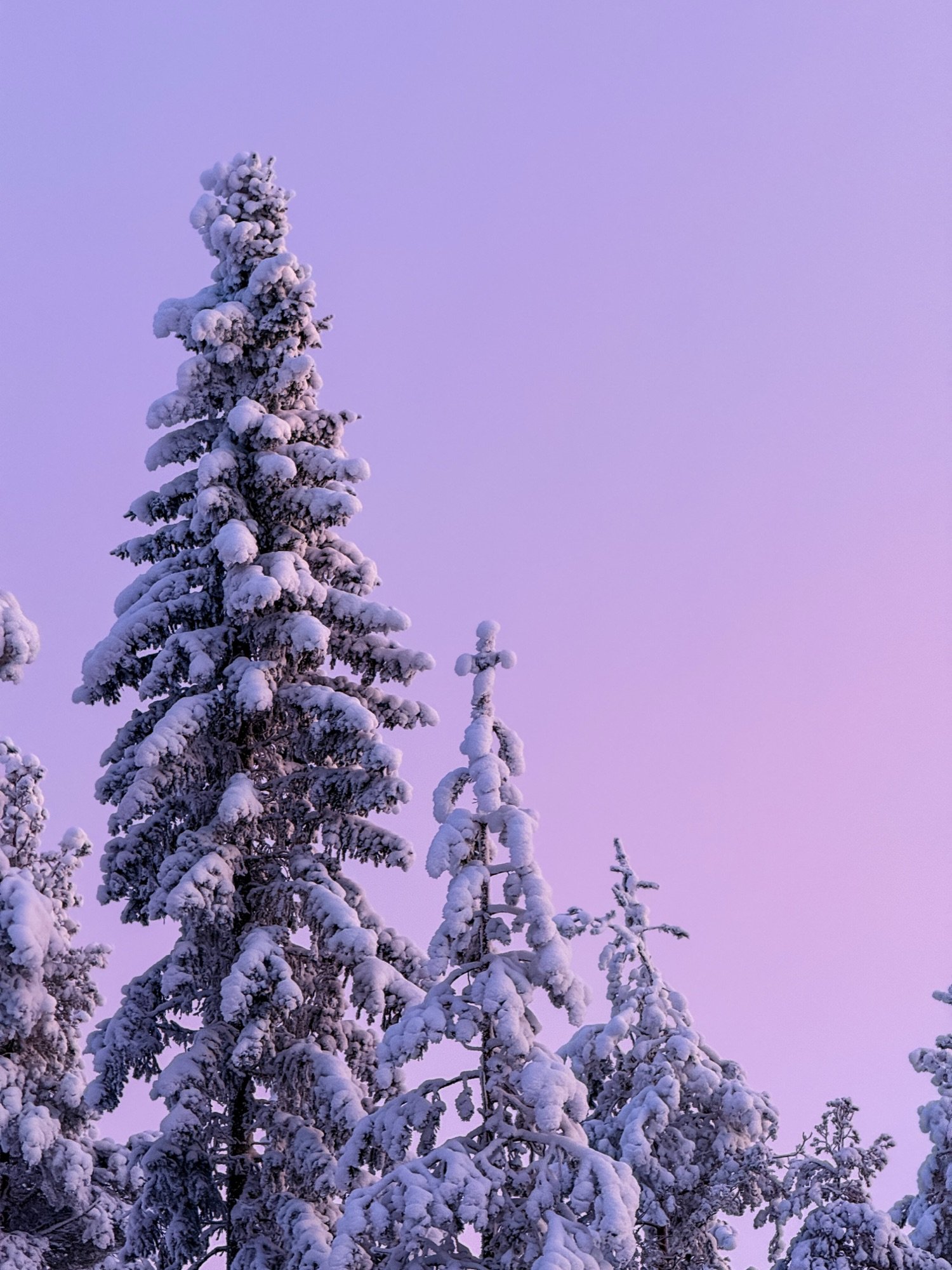 Heiagain from lapland rovaniemi