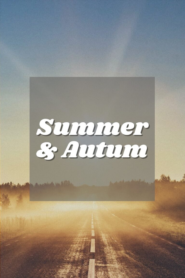 Summer and autumn in Lapland, summer in lapland, summer holiday, coolcation
