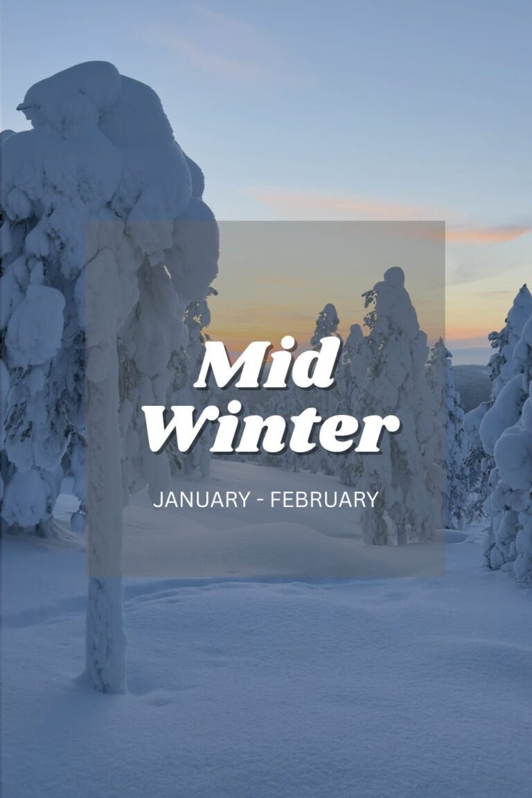 january in lapland
